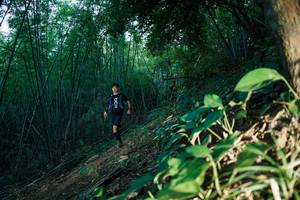 BIB: 
                            <button type="button" onclick="openModal(28123784)" class="btn btn-primary btn-sm float-right btn-popup" data-toggle="modal" data-target=".modal-high-quality">
                        <i class="fas fa-shopping-cart"></i> Add to Cart
                    </button>
                                            <button type="button" onclick="isThisMe(28123784, true)" class="btn btn-success btn-sm float-right btn-popup btn-isme hidden" data-toggle="tooltip" data-placement="bottom" title="นี่คือรูปของคุณใช่ไหม คลิกที่นี่เพื่อเอาเข้าอัลบั้ม">
                        <i class="fas fa-plus"></i> Add to album
                    </button>
                    <button type="button" onclick="isThisMe(28123784, false)" class="btn btn-warning btn-sm float-right btn-popup btn-isnotme hidden">
                        <i class="fas fa-ban"></i> Remove from album
                    </button>